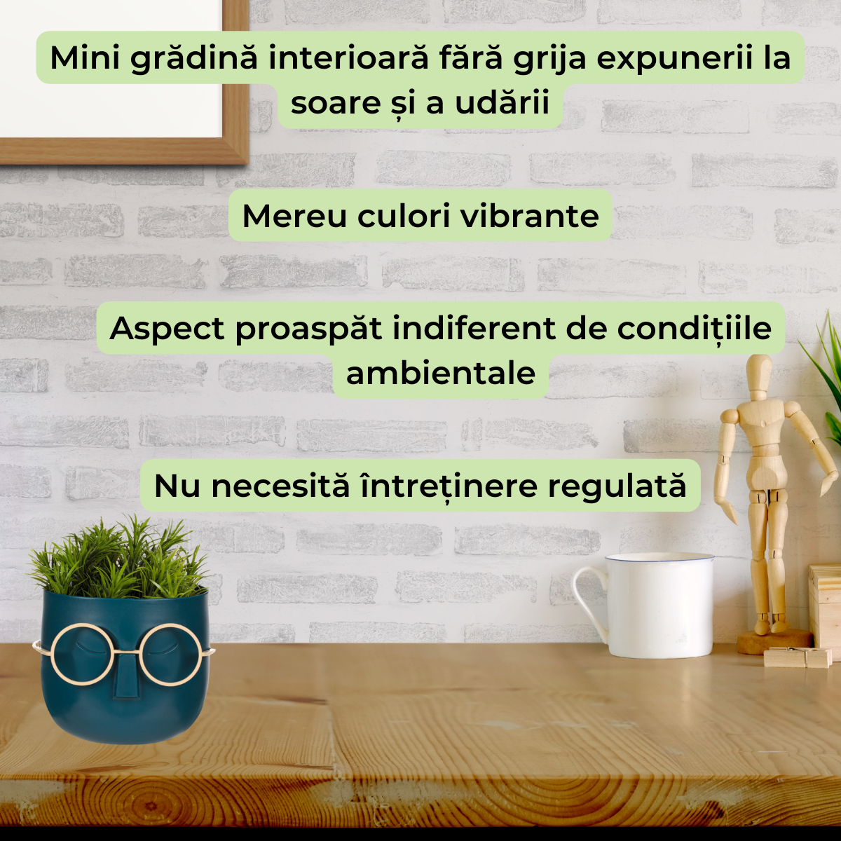 Planta decorativa in ghiveci cu ochelari, Albastru vernil, Cu ochelari aurii, Potrivit pentru orice decor, 11x11x15