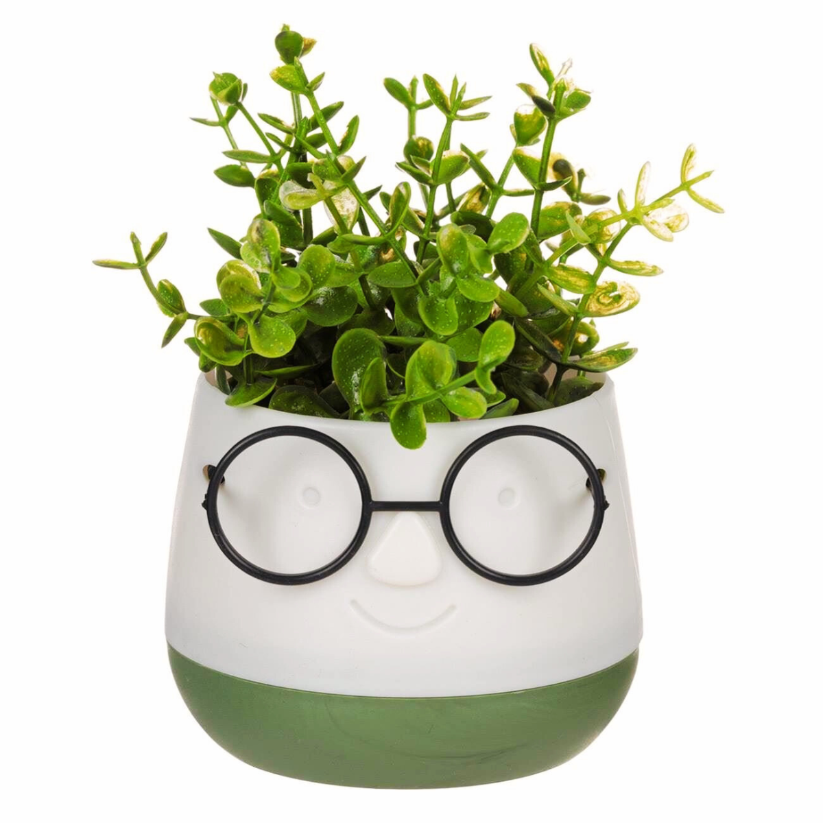 Planta decorativa in ghiveci cu ochelari, alb cu verde, Potrivit pentru orice decor, 9, 5x9, 5x14 cm