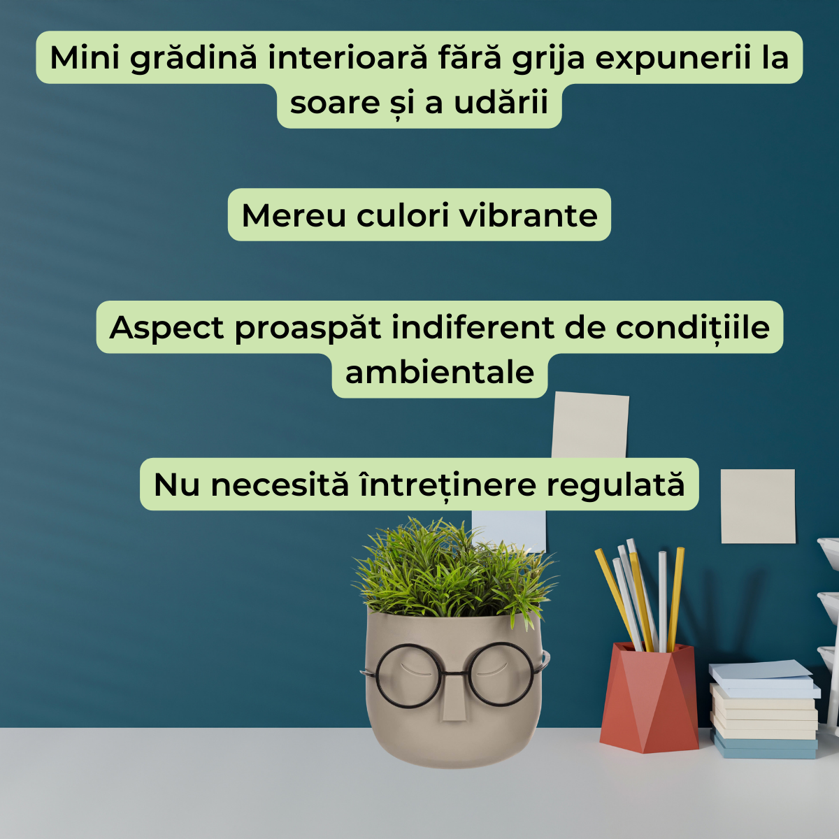 Planta decorativa in ghiveci cu ochelari, Gri deschis, Cu ochelari aurii, Potrivit pentru orice decor, 11x11x15