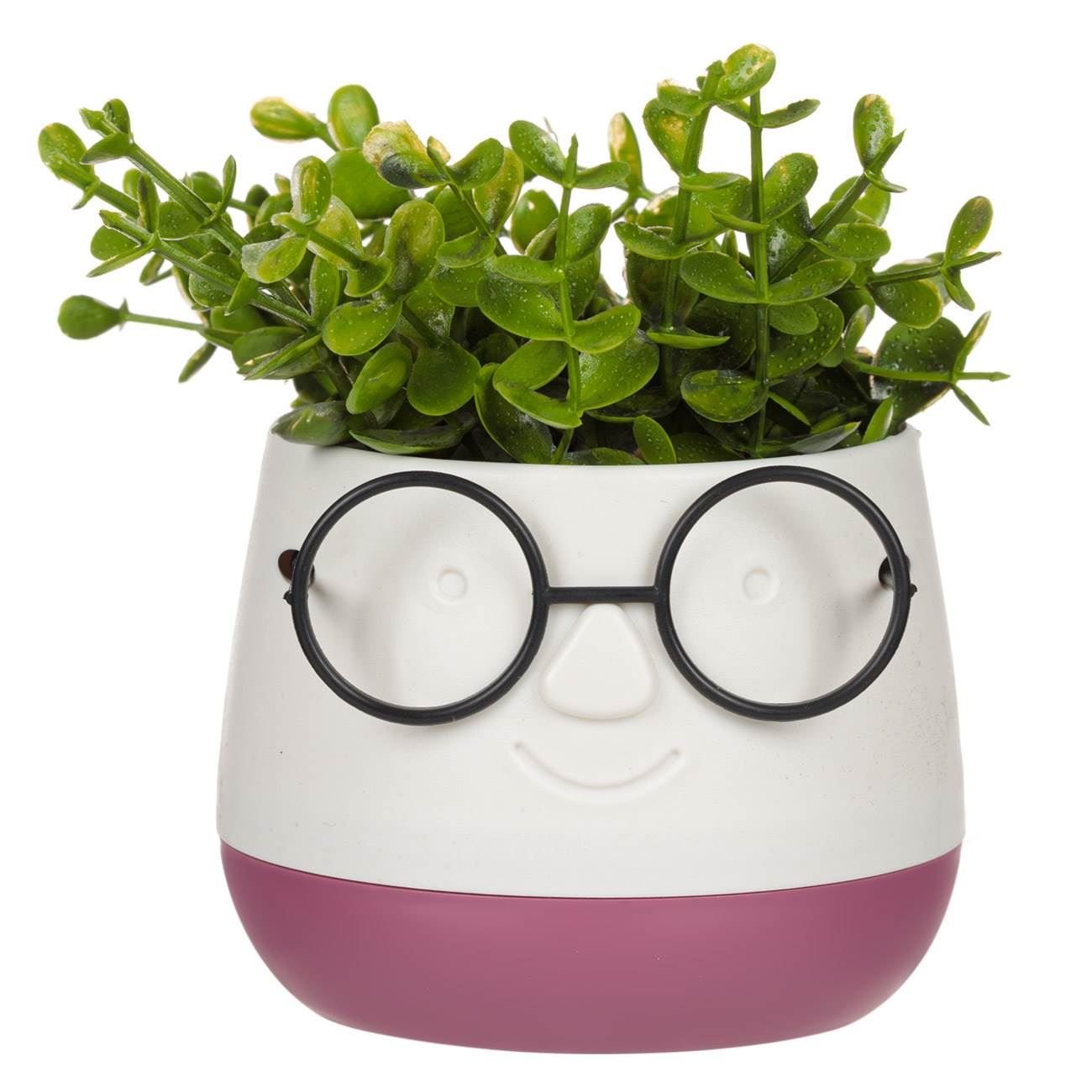 Planta decorativa in ghiveci cu ochelari, alb cu roz, Potrivit pentru orice decor, 9, 5x9, 5x14 cm