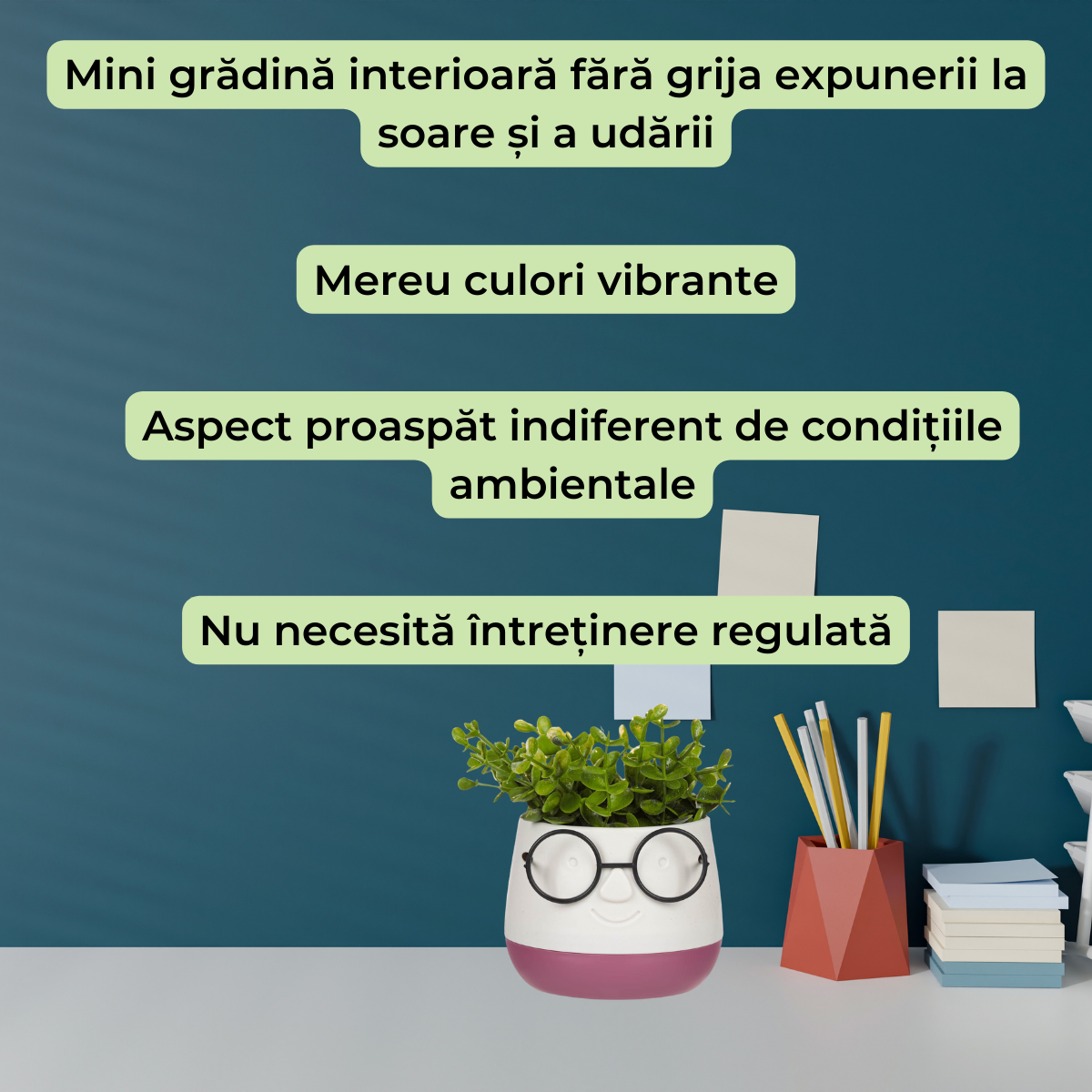 Planta decorativa in ghiveci cu ochelari, alb cu roz, Potrivit pentru orice decor, 9, 5x9, 5x14 cm